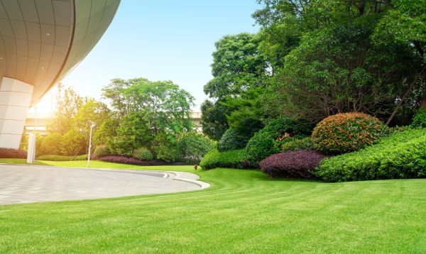 Cost of Commercial Lawn Mowing in Reston