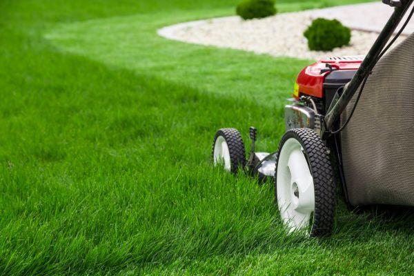 Cost of Grass Cutting Service in Reston