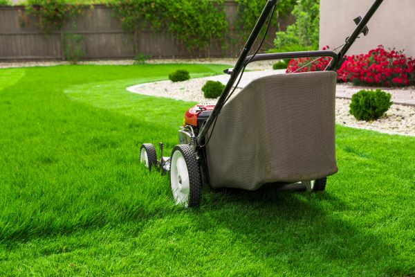 Cost of Lawn Mowing in Reston