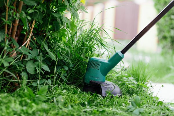 Cost of Weed Whacking in Reston