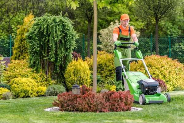 Cost of Yard Service in Reston
