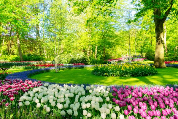 Cost of Spring Lawn Care in Reston