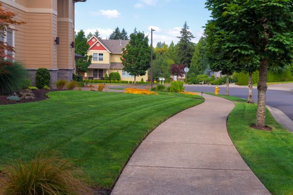 Cost of Home Lawn Maintenance in Reston