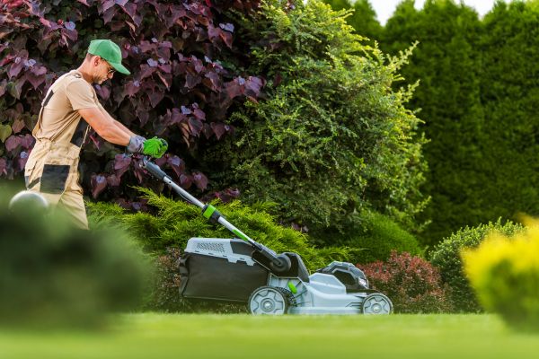 Cost of Lawn Management in Reston
