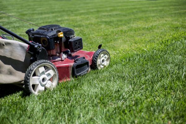 Cost of Routine Lawn Care in Reston