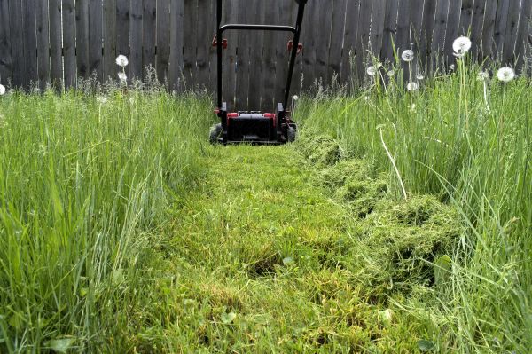 Cost of High Grass Mowing in Reston