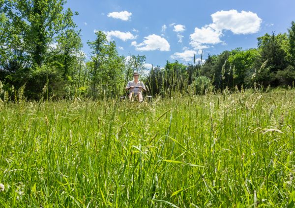 Cost of Long Grass Mowing in Reston