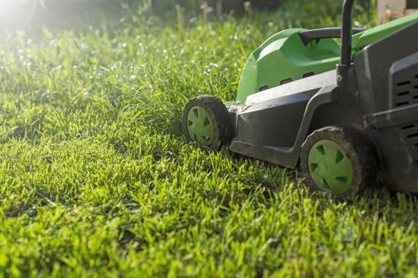 Cost of Lot Mowing in Reston
