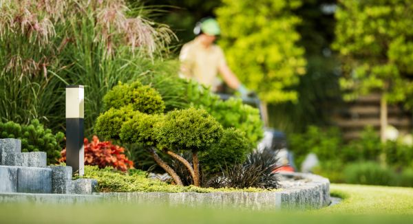 Cost of Residential Yard Maintenance in Reston