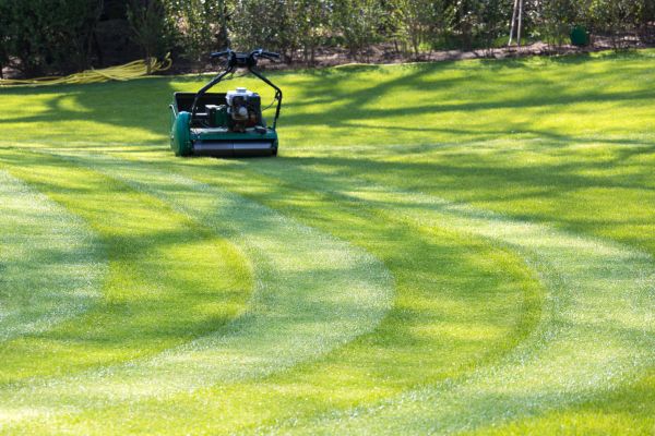 Cost of Business Lawn Mowing in Reston