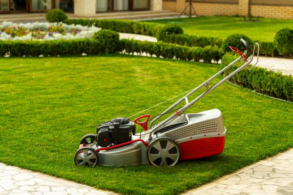 Cost of Business Grass Cutting in Reston
