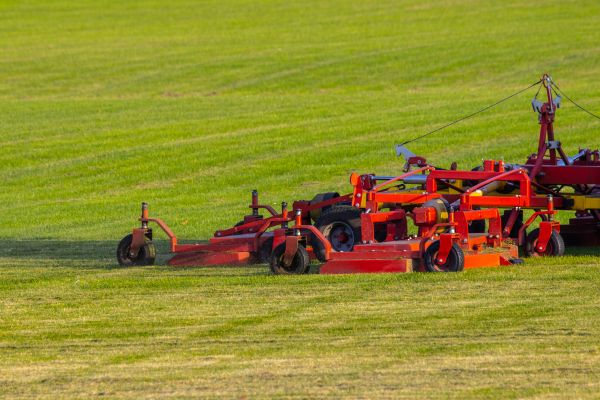Cost of Industrial Lawn Service in Reston