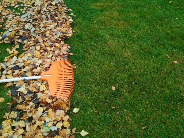 Cost of Fall Lawn Care in Reston