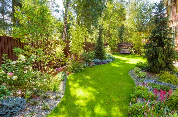 Spring Yard Maintenance in Reston