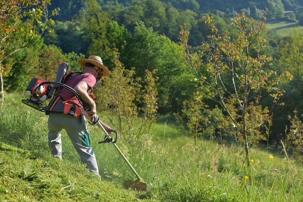 Slope Mowing in Reston
