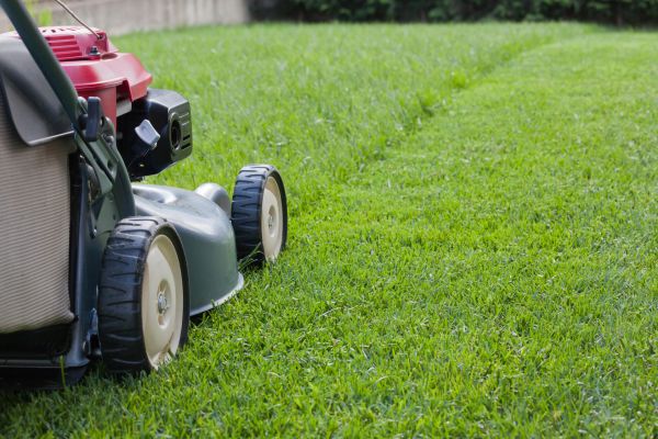 Cost of Spring Lawn Maintenance in Reston
