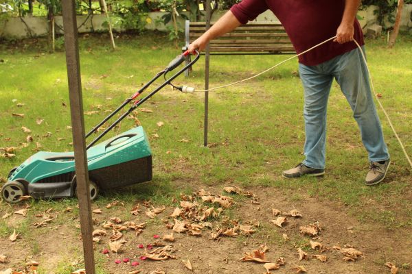 Cost of Leaves Mowing in Reston