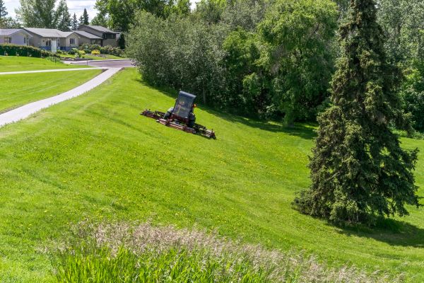 Cost of Sloped Area Mowing in Reston