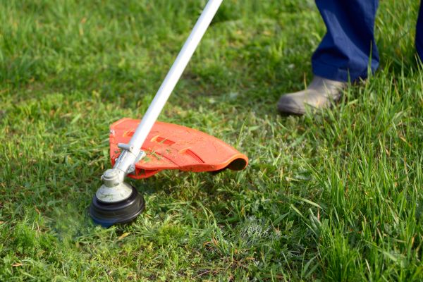 Cost of Lawn Weed Whacking in Reston