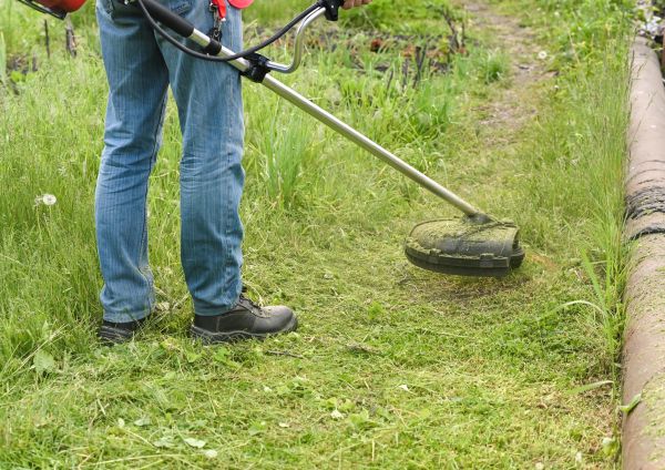 Cost of Tall Grass Trimming in Reston