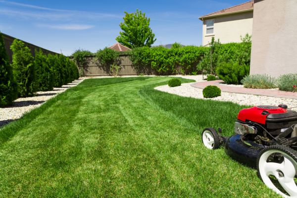 Cost of Residential Lawn Mowing in Reston
