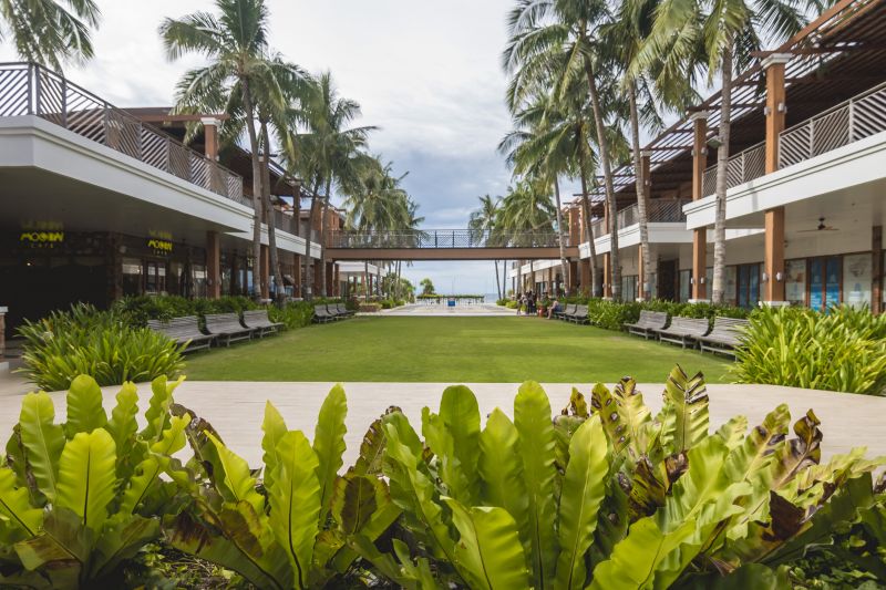 Commercial Yard Maintenance