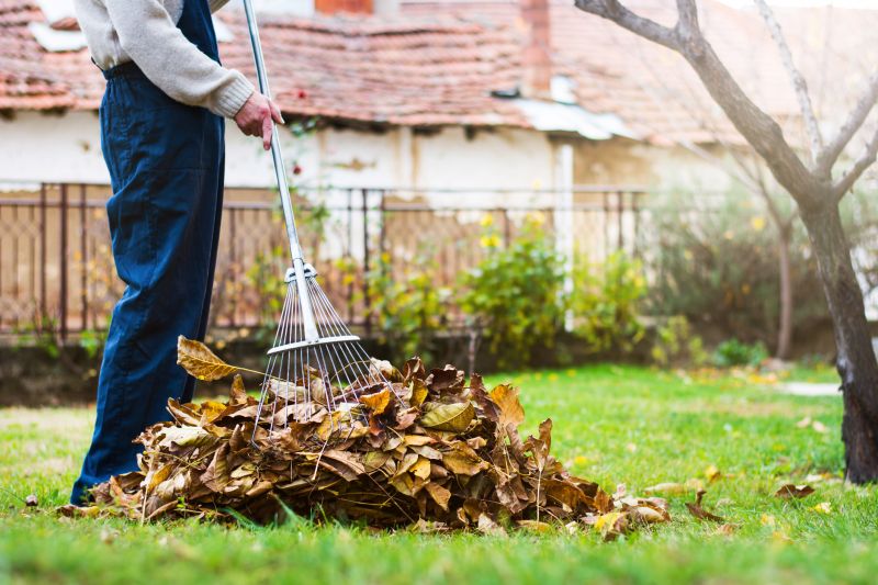 Autumn Yard Care