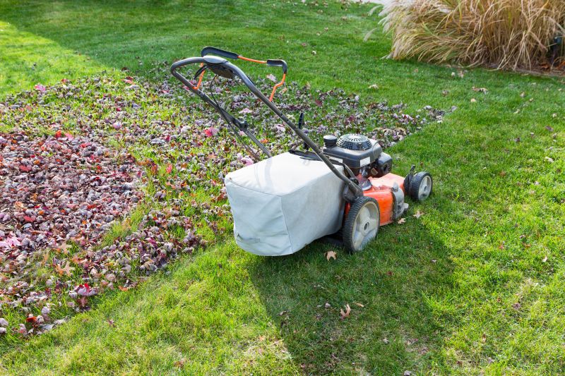 Lawn Mowings During Seasons