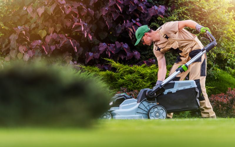 Lawn Care Professionals Working